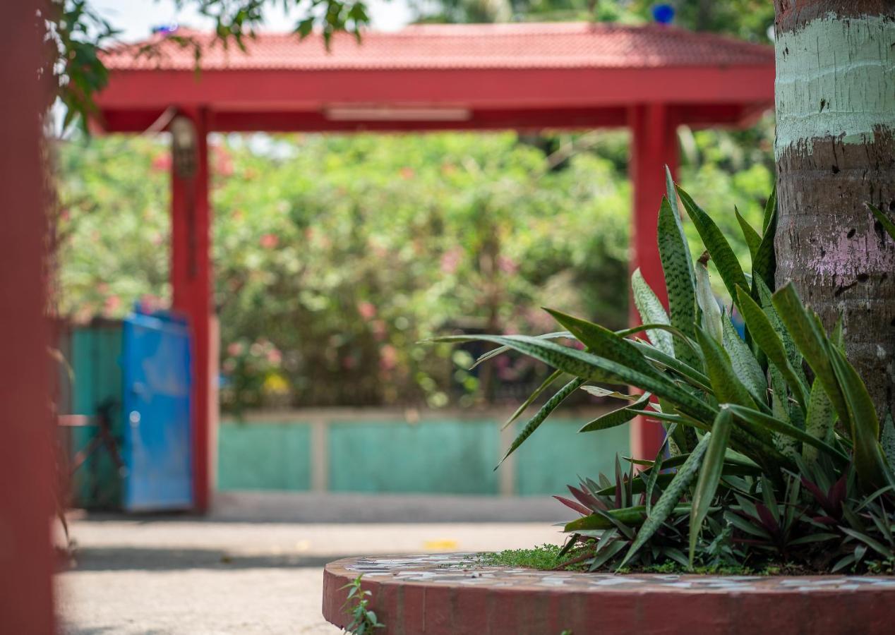 Palm Grove Eco Resort Port Blair Exterior foto